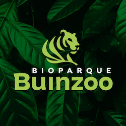 Logo de Buin Zoo.